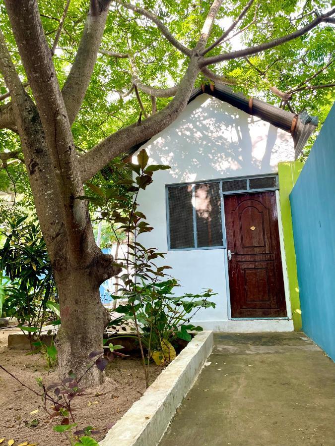 Green'S Hostel Nungwi Bagian luar foto